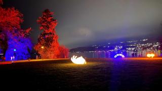 Spacious apartment with lake view and garden - Richterswil - 8
