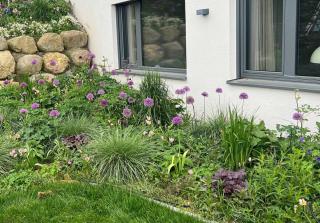 Spacious apartment with lake view and garden - 4