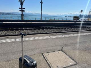 Spacious apartment with lake view and garden - Richterswil - 3