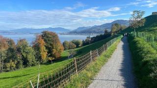 Spacious apartment with lake view and garden - Richterswil - 2