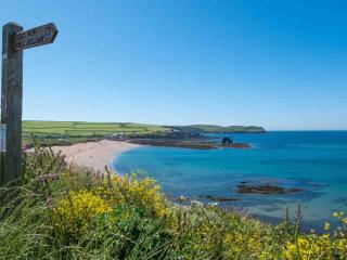 Beech Hut - a streamside family escape near Salcombe and Beaches - 1