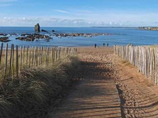 Beech Hut - a streamside family escape near Salcombe and Beaches - 2