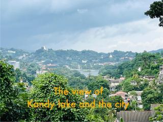 Kandy Nature Breeze Homestay - Kandy - 8
