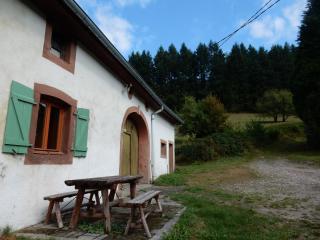Holiday Home Vagney near Ski Gérardmer - 9