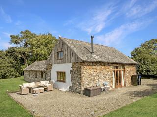 Widehay Barn Mariansleigh - Mariansleigh - 0