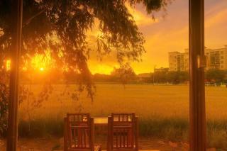 Ruộng Homestay - 5