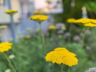 Krozinger Gartenloft - Design Apartment - 5