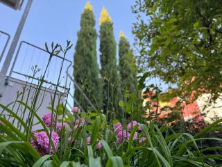 Krozinger Gartenloft - Design Apartment - 4