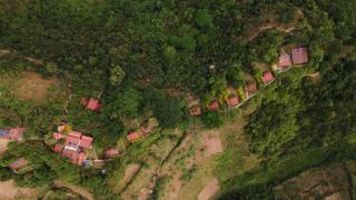 Chameleon Hill Forest Lodge - Bwindi - 7