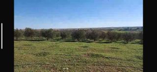 Rabat Agdal - Temara - 0