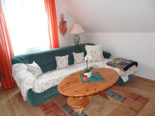 Zentrale Wohnung in Haslach - Haslach im Kinzigtal - 5