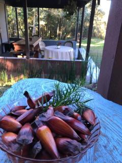 Chalé com Vista para Vinhedo e Natureza - 1