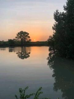 Sita joyeh baobab island holiday resort - Banjul - 5