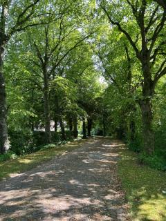 Ferienwohnung im idyllischen Gulfhof - 7