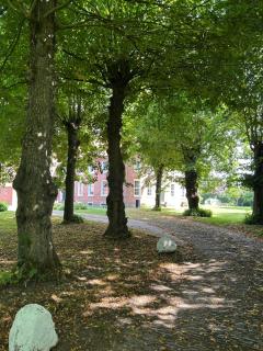 Ferienwohnung II im idyllischen Gulfhof - 1