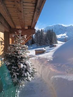 Chalet le Plane - 7