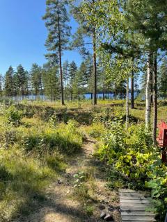 Joutiaisentie I 55 Forest apartment - Joutsa - 7