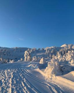 Stylish Cabin With Lovely View At Stavadalen - 9
