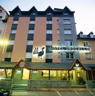 Hotel Urogallo - Vielha - 0