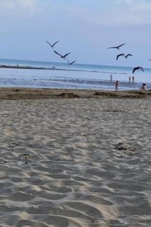 Isla Canela 2 dormitorios Paseo de los gavilanes blq1 n 13 - 9