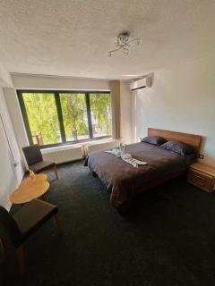 Apartman Alinac - 9