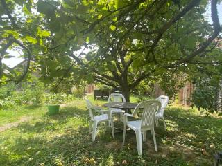 Les Pommiers - Chambres climatisées - Rosheim - 9