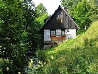 Historisches Ferienhaus im Schwarzwald - Sankt Georgen im Schwarzwald - 4