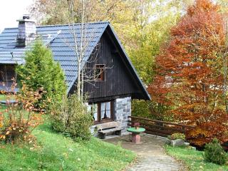Historisches Ferienhaus im Schwarzwald - Sankt Georgen im Schwarzwald - 5