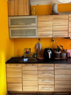 Spacious one room apartment with a balcony, Järveotsa tee 41 - 6