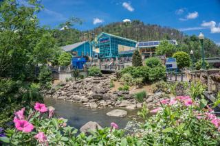 Country Bears Getaway by American Patriot Getaways - 4