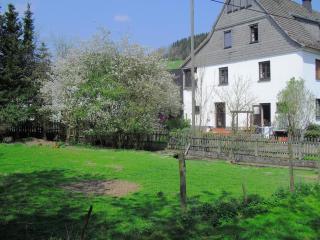Menkhausen Alpine Comfort Stay - 3