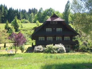 Hideaway near Black Forest - 4