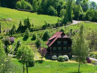 Hideaway near Black Forest - 0