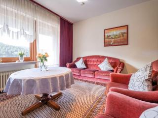 Geräumiges Apartment am Waldrand im Sauerland - 1
