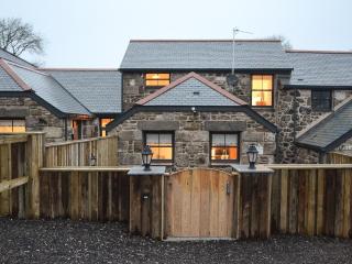 Chancer - Newlyn - 0