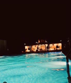 Apex resort - Pushkar - 5