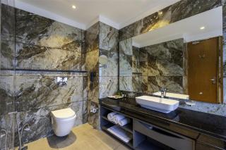 Palchan Hotel & Spa - A member of Radisson Individuals Retreats - Manāli - 4