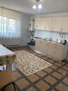 Vila Lory - Vaslui - 6