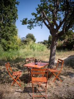 Calanque de Figuerolles - 1