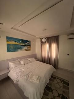 Cozy newly furnished apartment - Abuja - 3