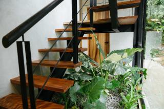 Manuel Antonio Tree House Villas - 6