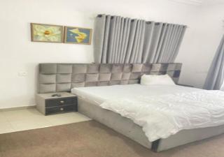 Zitel Apartment - 1