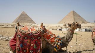 Pyramids Soul Stay - Il Cairo - 2