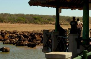 Voi Wildlife Lodge - 3
