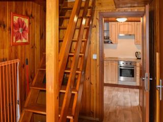 Relaxing Forest Escape with BBQ - 5