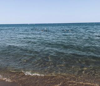 Pavillon les Jardins de la Plage - 5