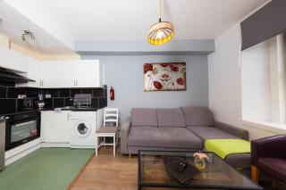 Cosy City Centre Apartment 6 - Edinburgh - 8