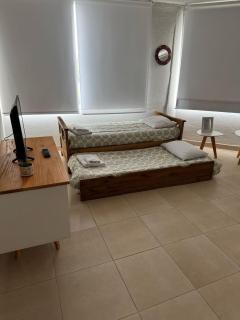 alquiler diario el palmar - 6