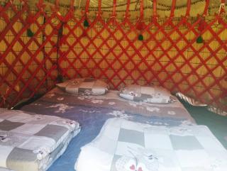 Karakol gorge yurt camp - 2