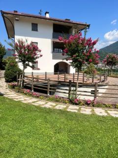 Il Gallo - 0